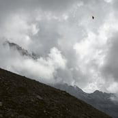 Lucas Foglia | LensCulture