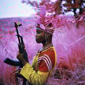 Richard Mosse - The Castle | LensCulture