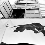 Stephen Shames | LensCulture