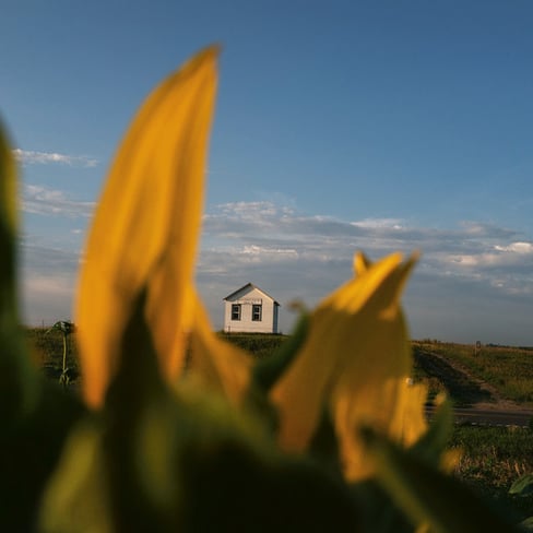In this lyrical collection of poems and photographs, Rebecca Norris Webb charts her journey through the loss of her brother as she follows the migration of birds through the American South and Northern France.