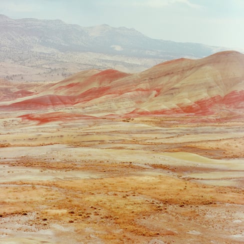 Turning his attention to the largest living organism in the world, Jonah Reenders’ poetic exploration of a 10,000-year-old fungus raises questions about our connection to a shifting natural world.