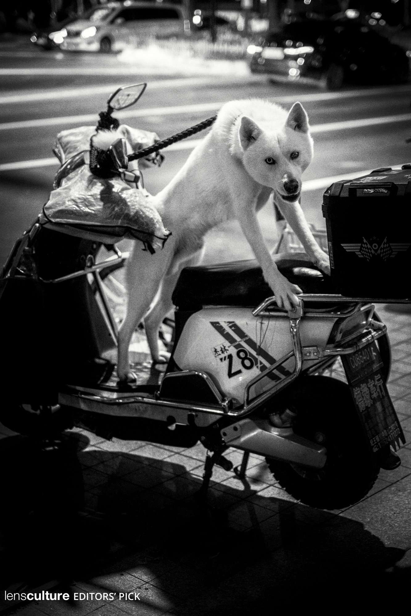 Night Rider