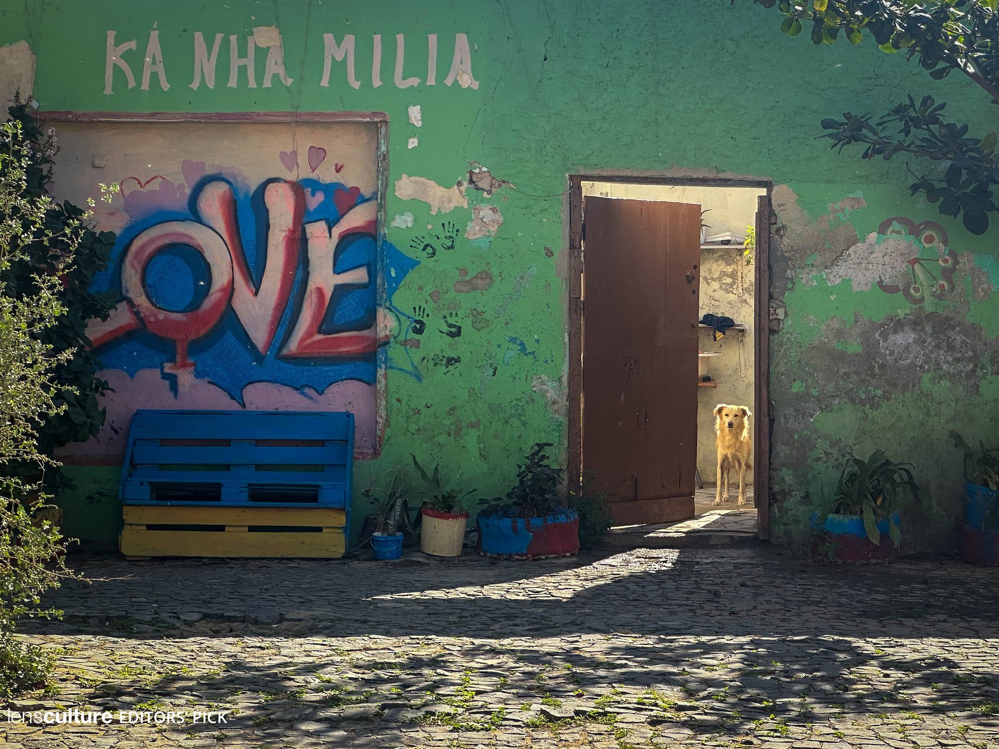 Cape Verde House
