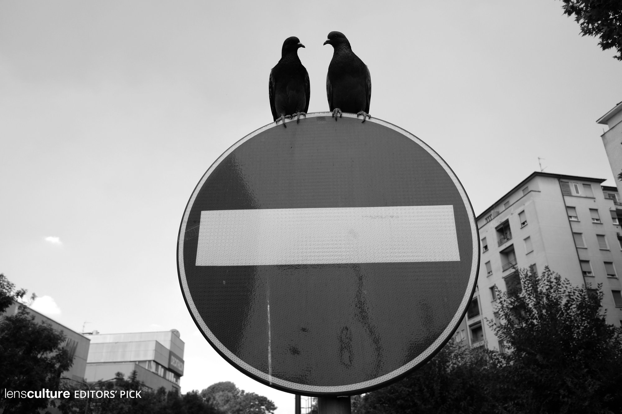 Urban Romance