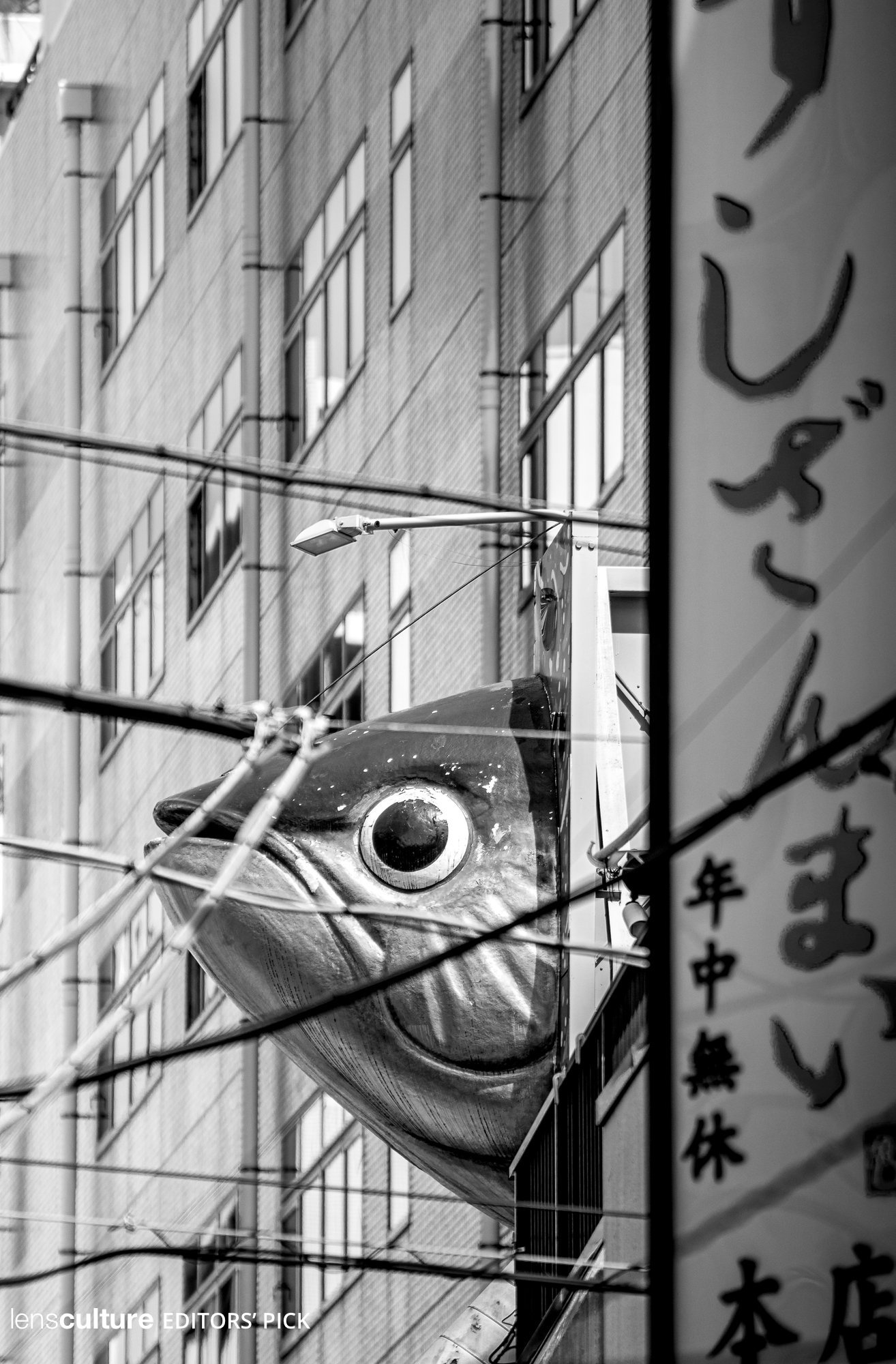 Urban Catch
