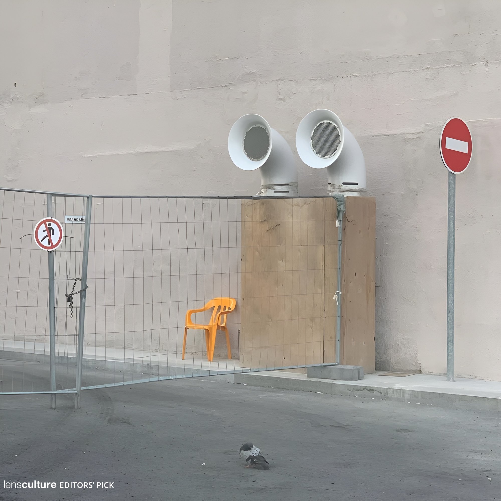 Pigeon is Listening