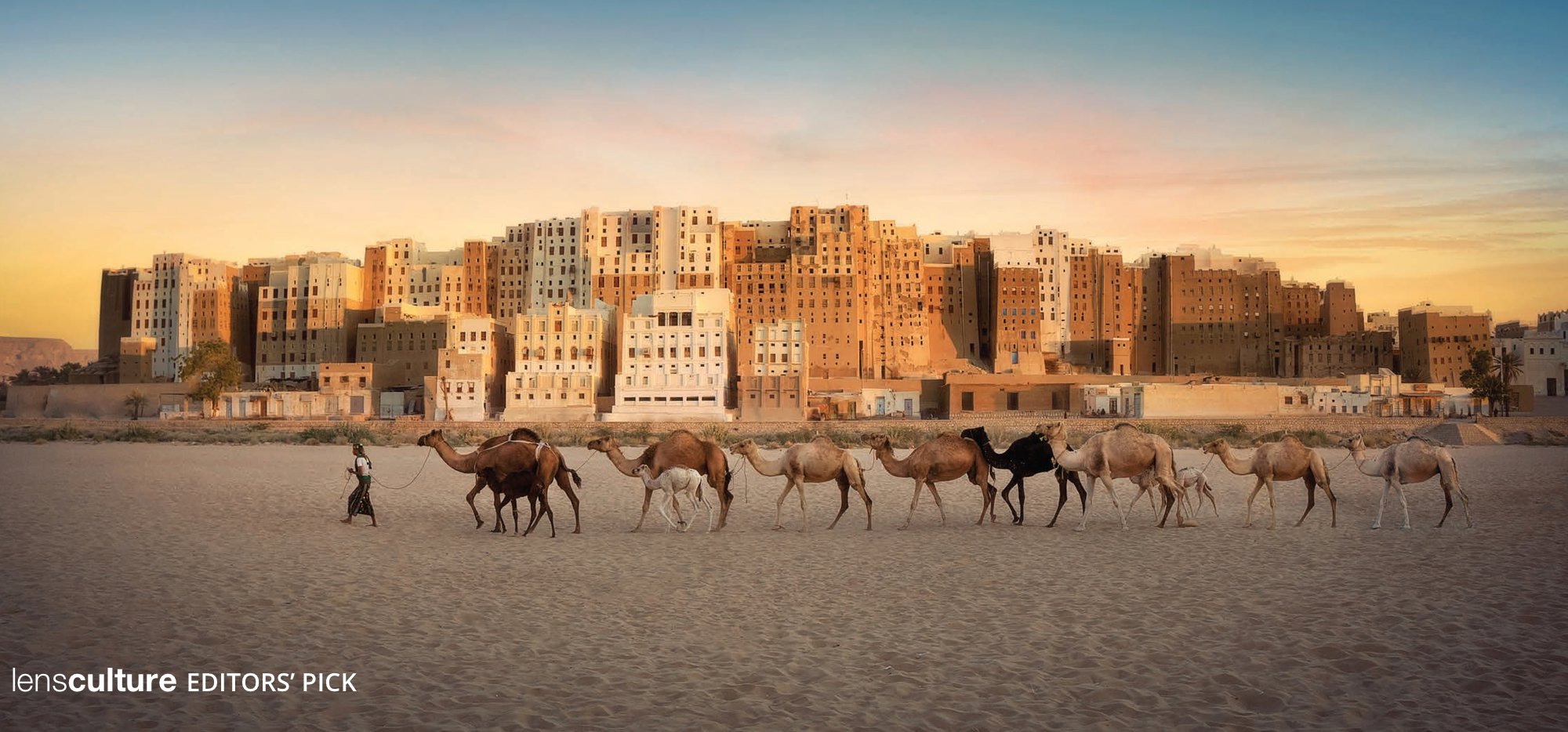 Shibam, Where Caravans Still Remember the Road