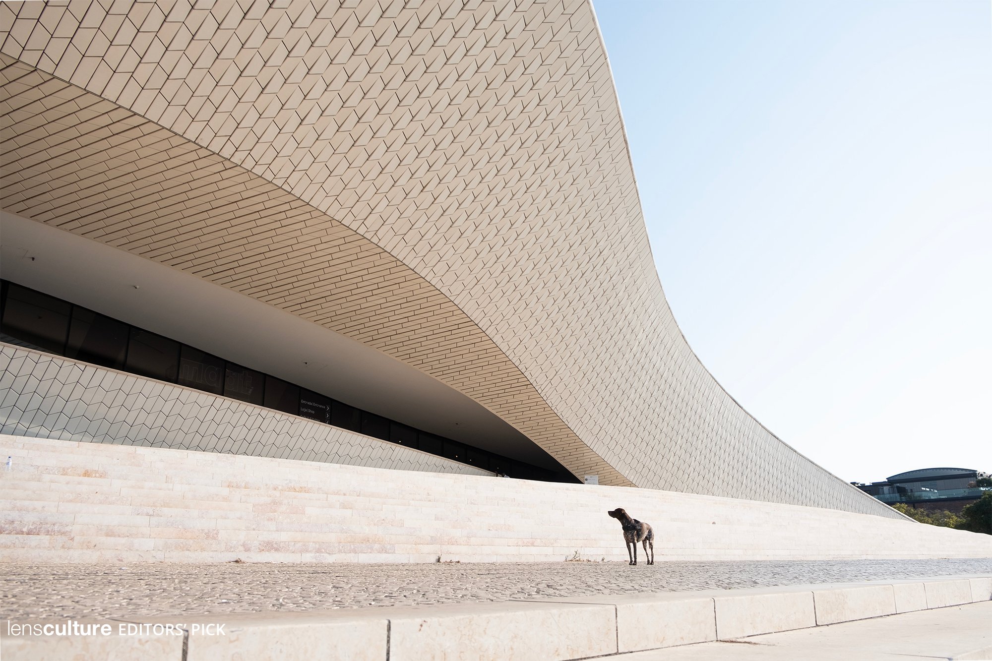 Lisbon, a bastion of the common good