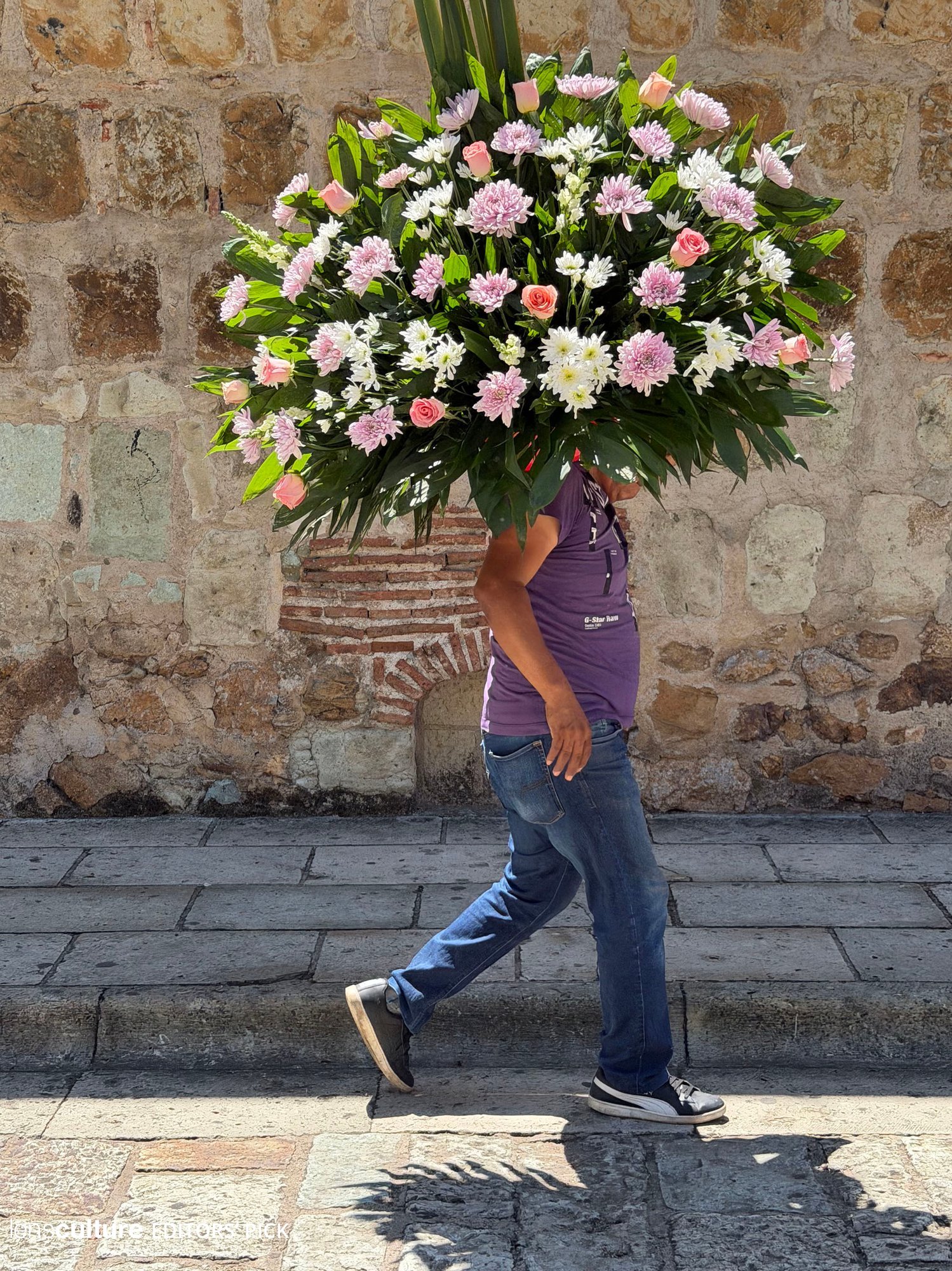 Oaxaca 2026