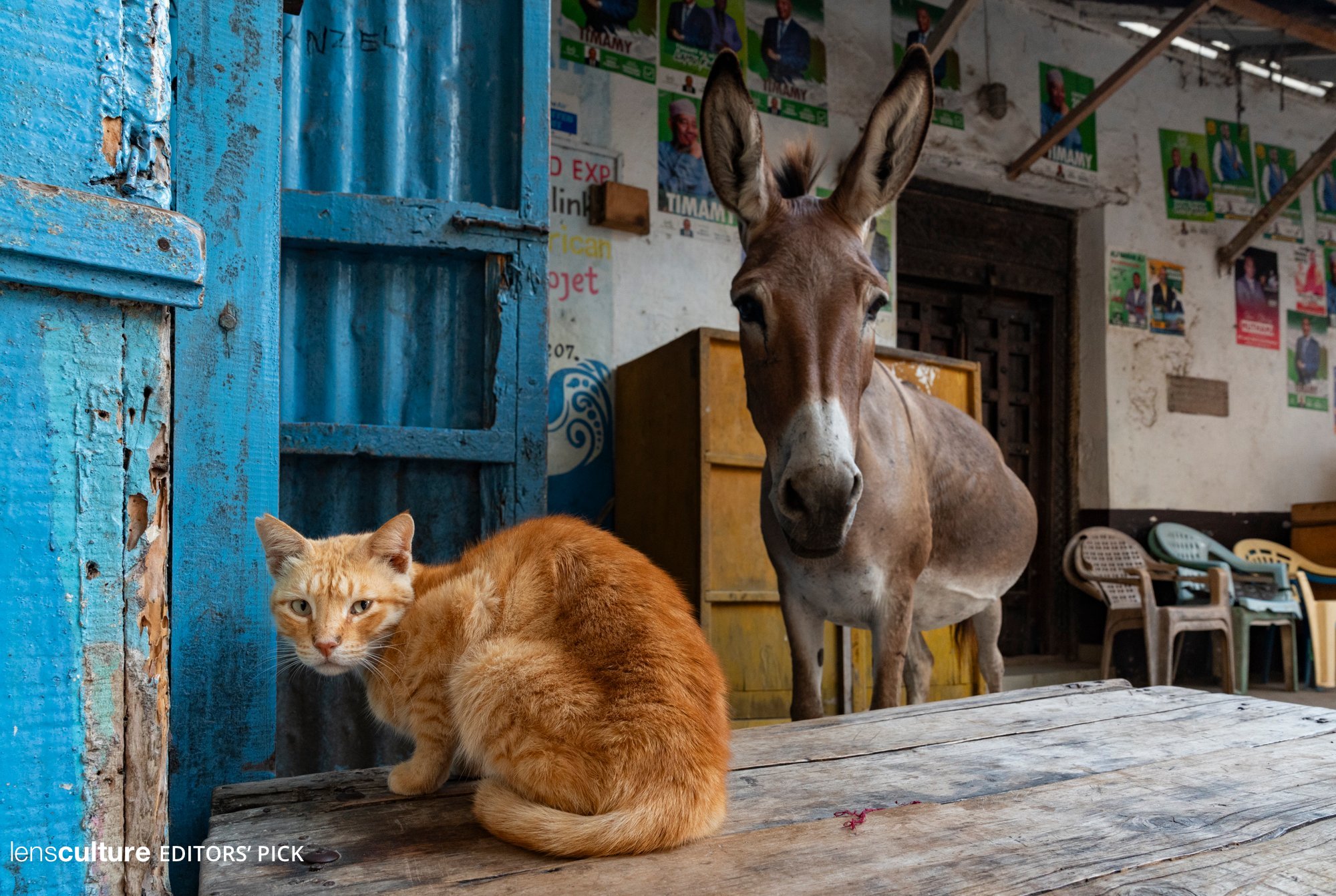 Lamu Town 10