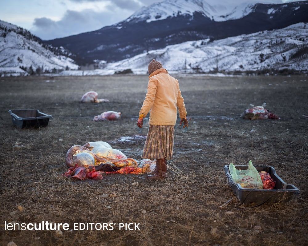 Ania #2, The Gleaners