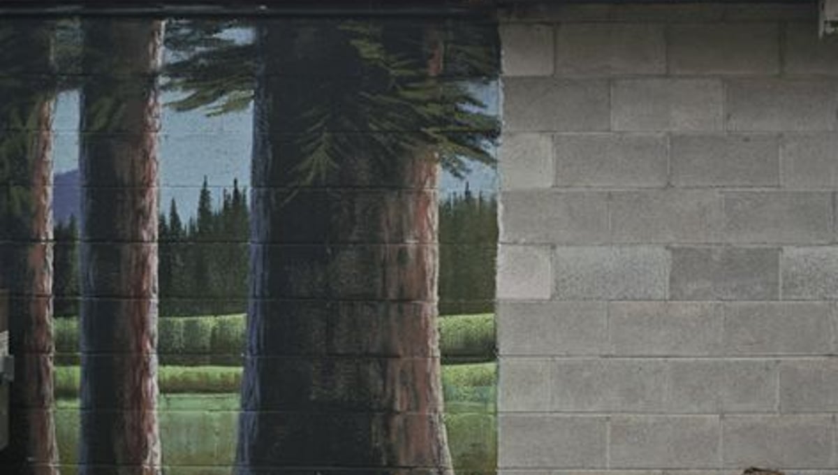 Wood Pile, Tyhee Idaho © Alexis Pike