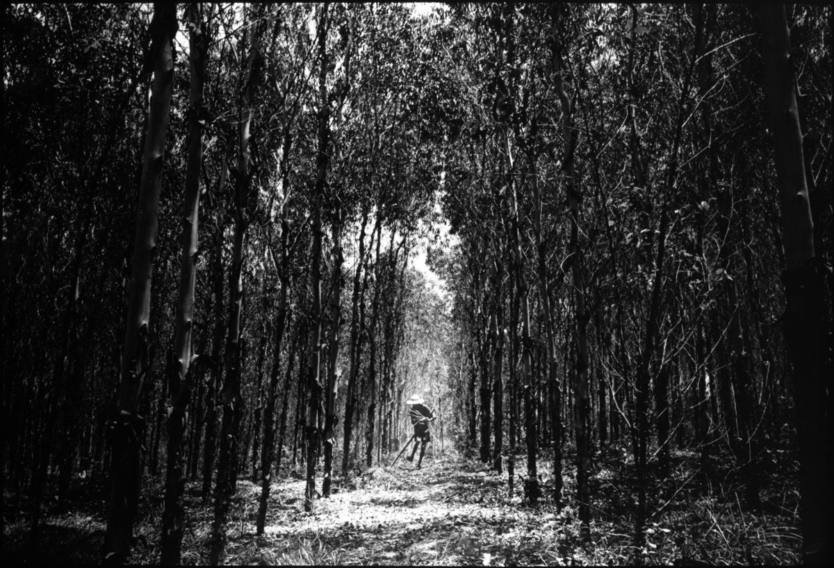 Vanishing existence