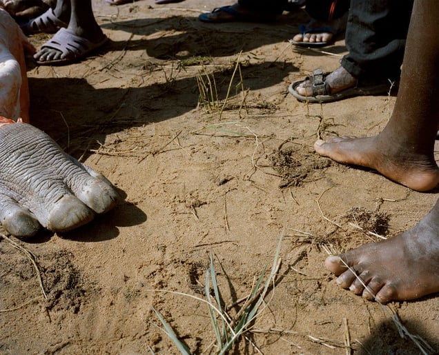 untitled # VI, lake kariba, zimbabwe-from the series 'hunters'-David Chancellor