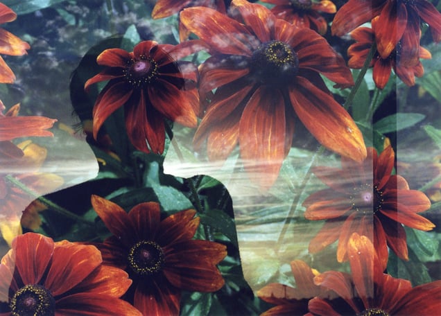 Home is not defined by Walls