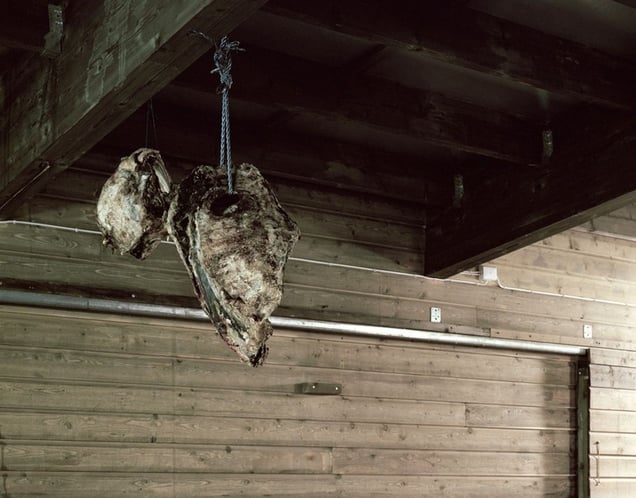 Reindeer Meat
