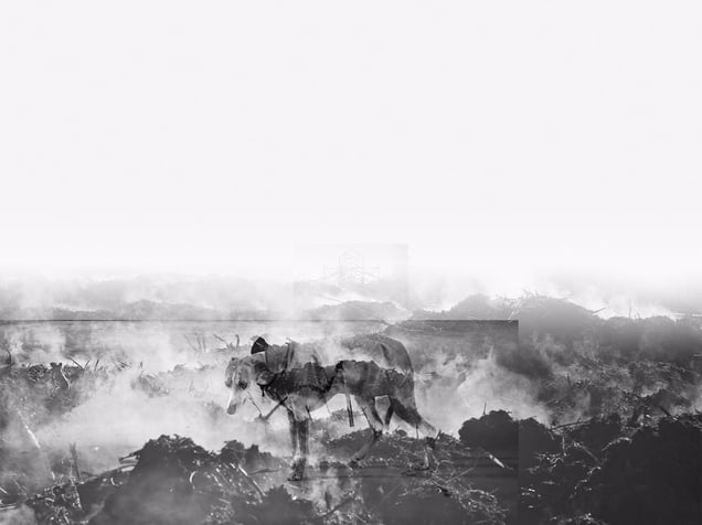 Kerberos Present II, from the "Shelter" series, 2015. Showing at PUG Oslo. Courtesy of PhotoLondon.