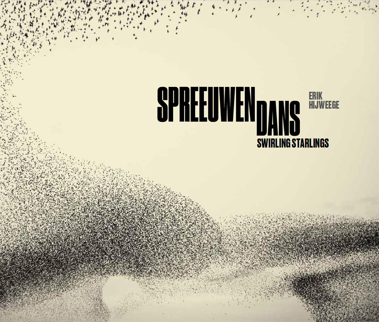 Spreeuwendans / Swirling Starlings