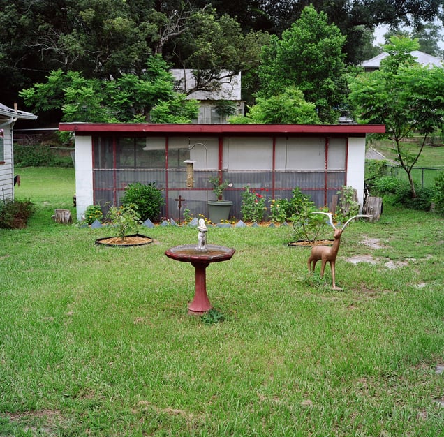 "Bird Bath, Deer"