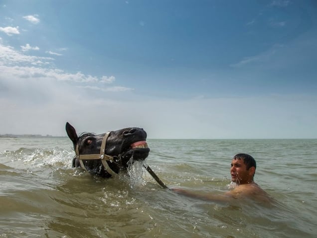 Azerbaijan, SumgaitA man swims with his horse in the Caspian Sea on a very hot day in Sumgait.© Petrut Calinescu