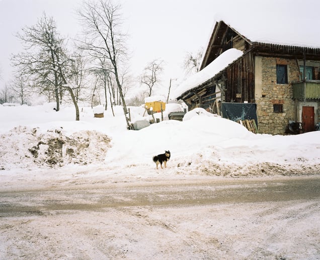 Prevole (2018)