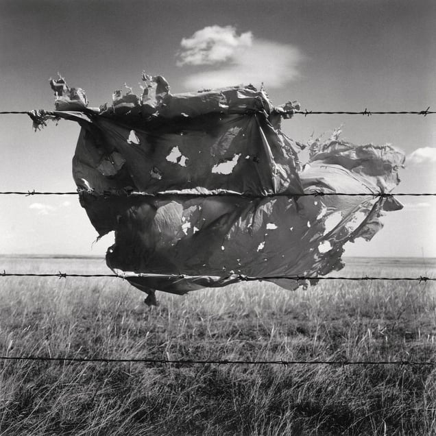 Snag #9 - Box Springs Road, Cypress County, AB, Canada