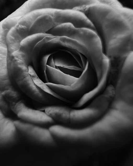 Soft