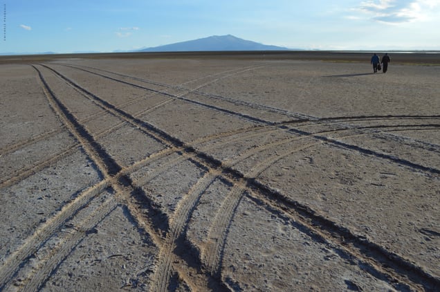 The Coipasa Desert, 2