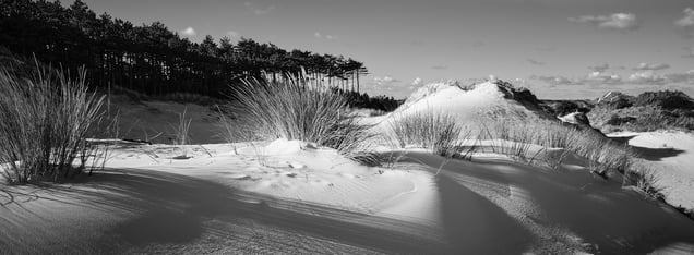 Baaknol - lighthouse dune (summer)