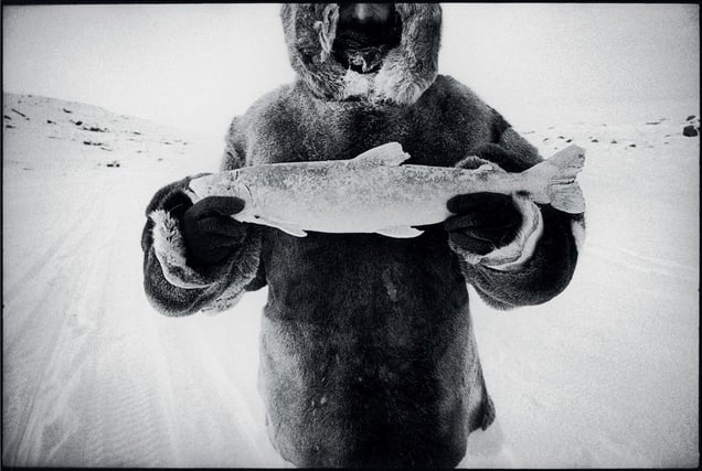 © David Carol, Joe with Fish, Baffin Island. Honorable Mention, LensCulture International Exposure Awards 2010