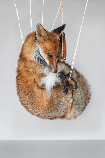 When you are dead, the pose you take doesn’t matter anymore.