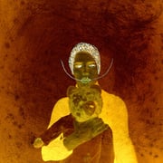 dafna grossman