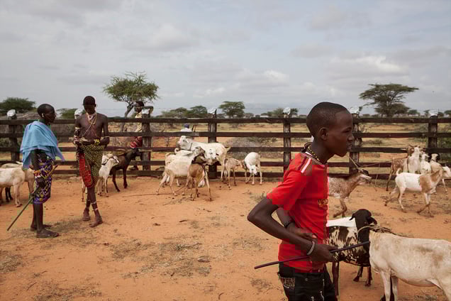 Samburu Community Outreach