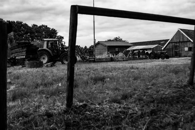 Countryside landscapes