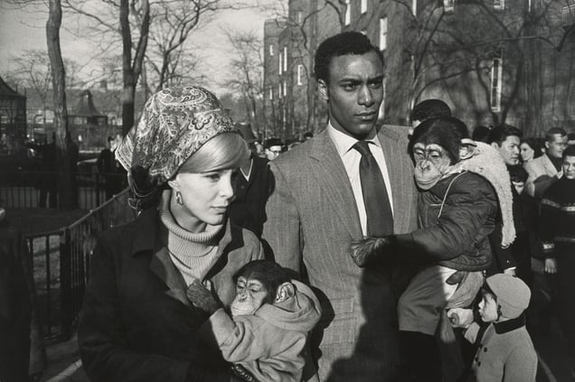 Central Park Zoo, New York, 1967 © Garry Winogrand. Courtesy of Fraenkel Gallery.