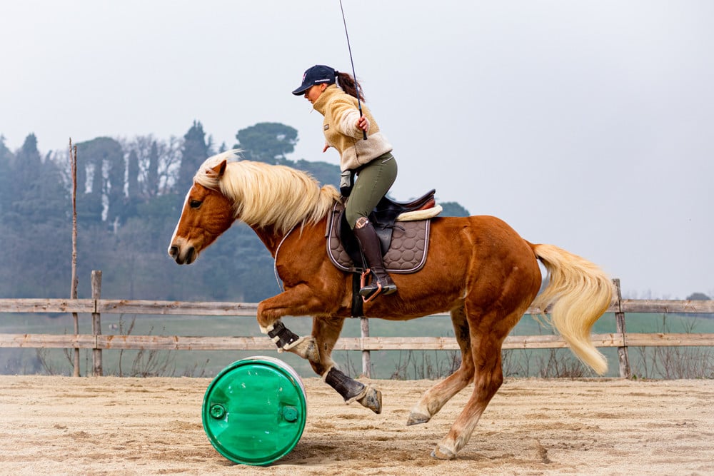 Horse(wo)manship
