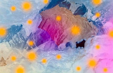 Metamorphosis, Photography Competition & Awards