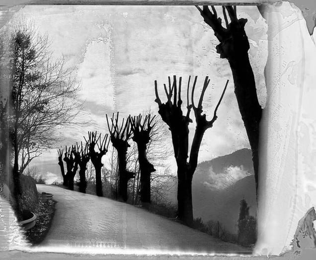 From the series "Accidents" © Jean-Christophe Béchet
