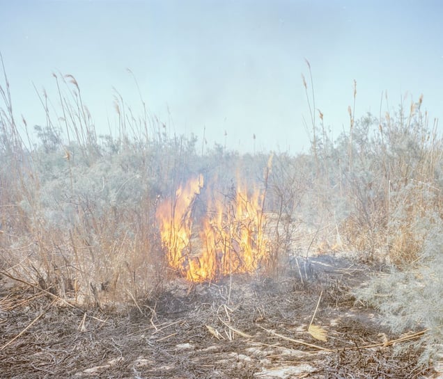 The reeds of the dried land in Hamun Lake automatically catch fire because of excessive dryness and hot sunlight, causing a huge fire in the dried land of the lake. The firefighter cars are there to extinguish the fires during hot seasons