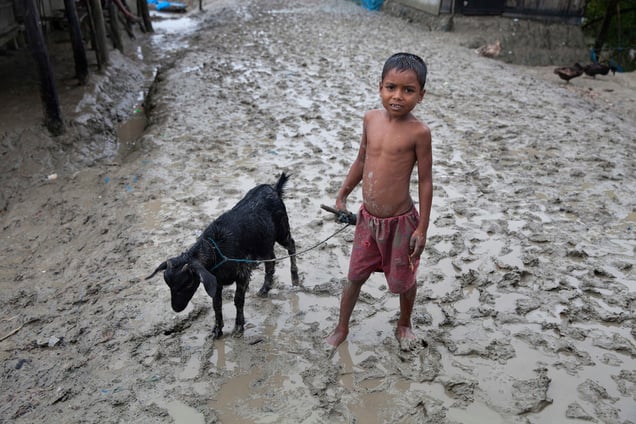 A boy with his goat at Shyamnagar in Satkhira.
