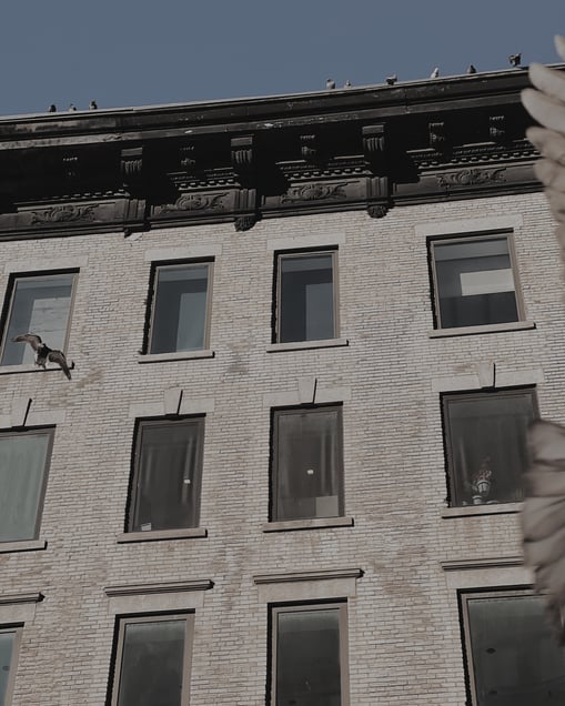 Soho