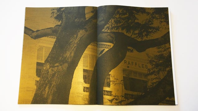 Mynah in Singapore - golden times. Hand-printed silkscreen.