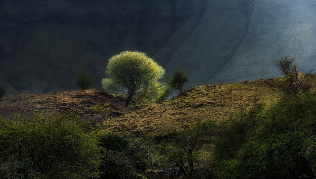 Evening Light at Hags Leap