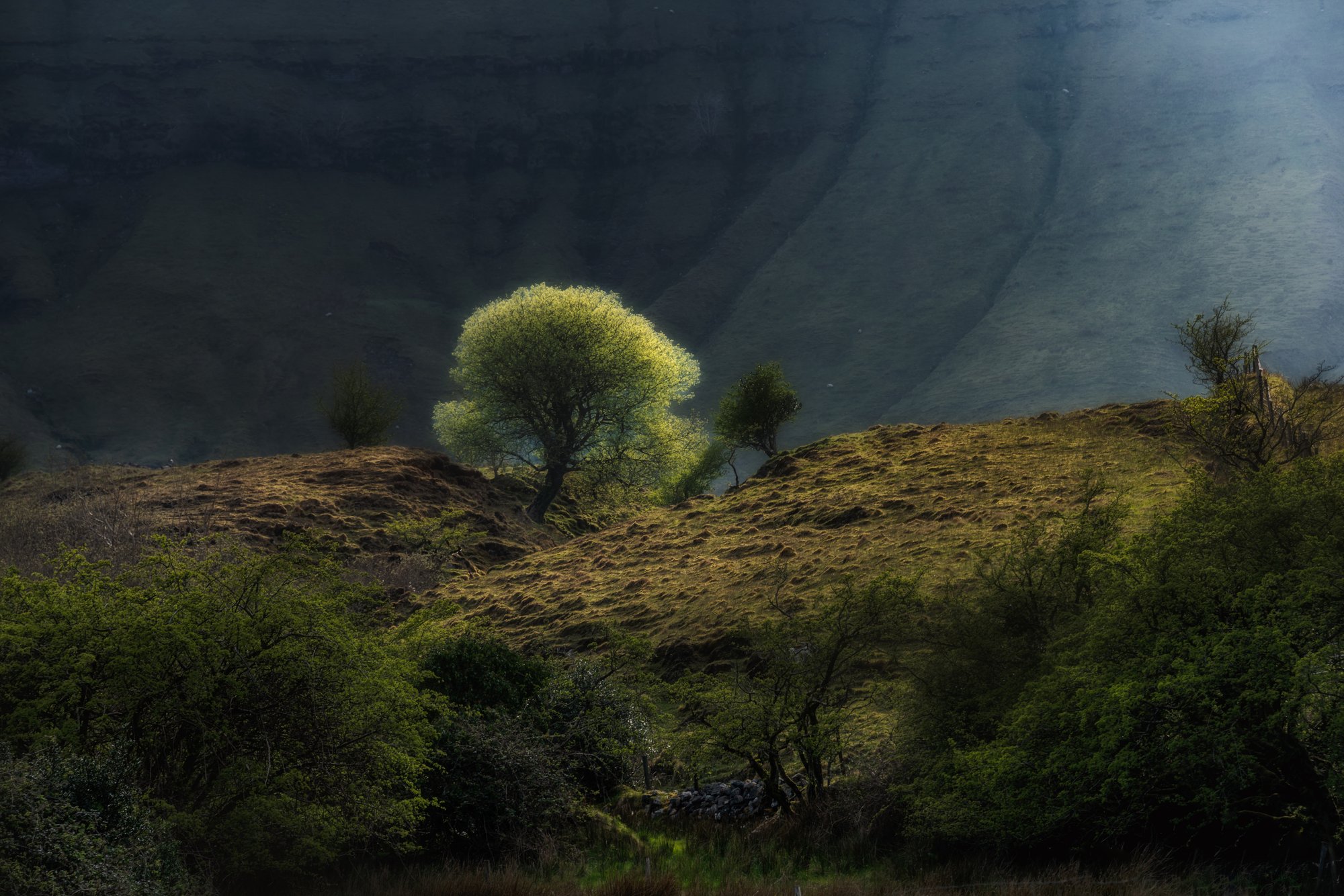 Visualising McGahern - Landscape