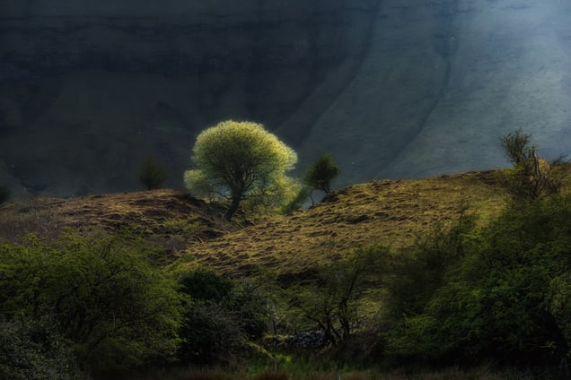 Evening Light at Hags Leap