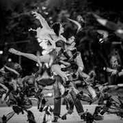 Marie-Dominique Verdier