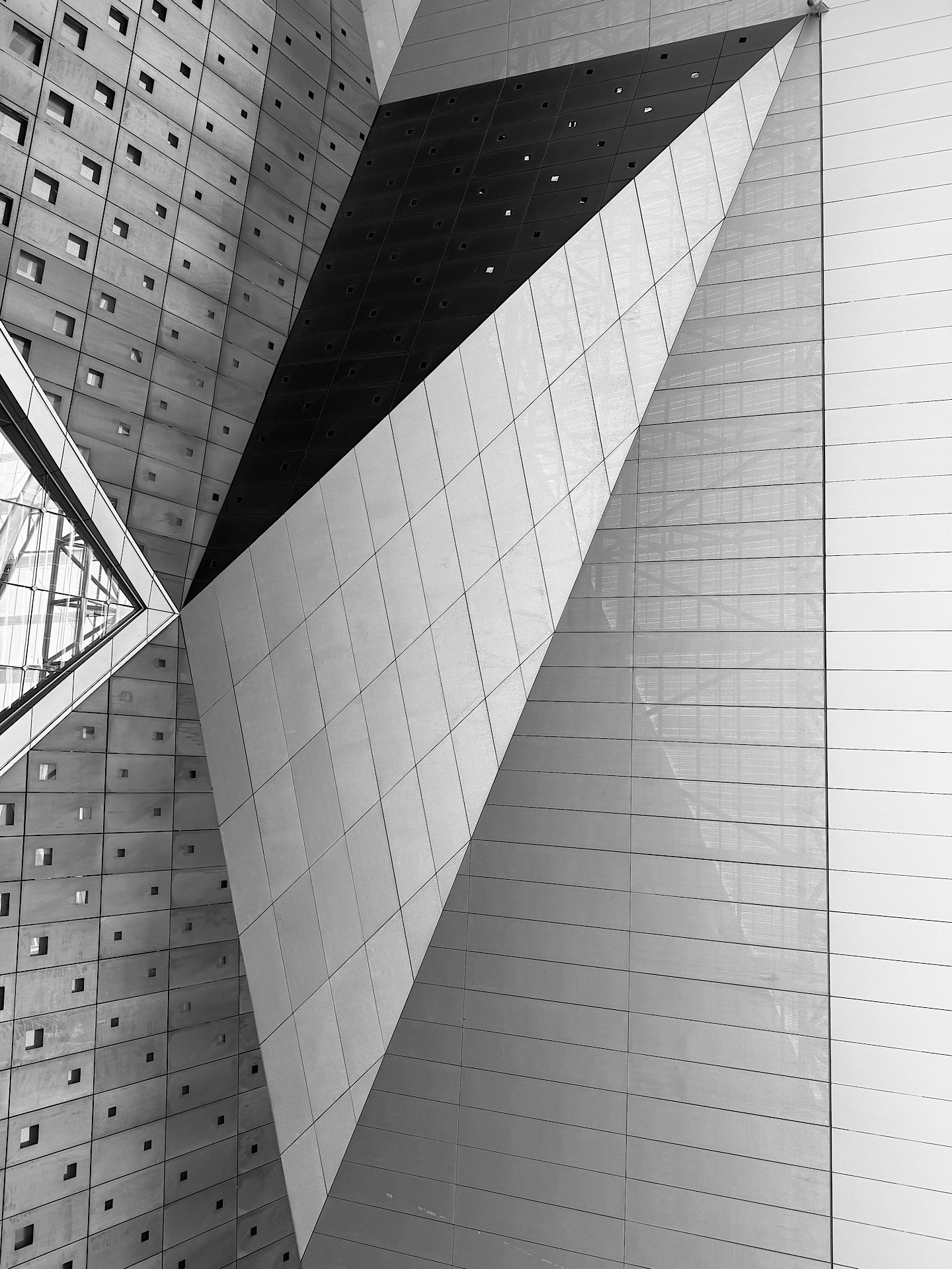 The lines 
