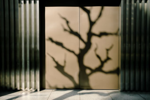 Nagoya, Aichi, Japan / Nov. 22nd, 2014