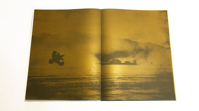 Mynah escaping to Yangoon. Hand-printed silkscreen.