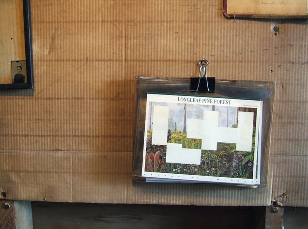 'Nature of America (or what’s left of it),' from a series of stamp sheets from the USPS, bound with scrap board from the garage.